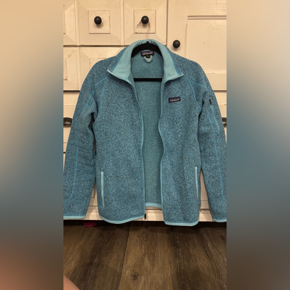 Patagonia Light Blue Fleece Jacket